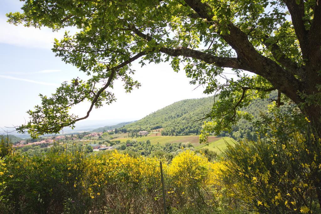 全景酒店 Montepulciano Stazione 外观 照片